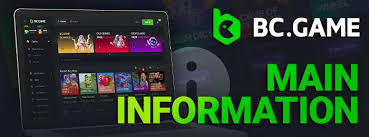 A Comprehensive Guide to BCGame Reviews Insights into Online Gaming Experience