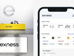 Understanding the Exness Raw Spread Account