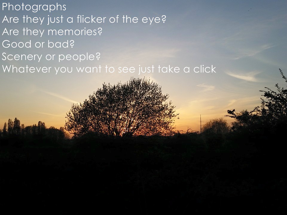 Laugh, Learn, and Connect with QuotePoem 38